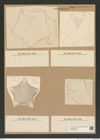 Diatomeae indet. Zeichnungen Sammlung Grunow Nr. 7600 (NHMW-BOT-W0376764)